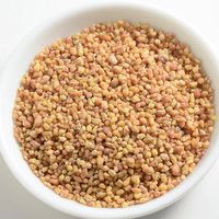 韃靼蕎麥茶（日本國產）100g