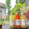 果樹物語 果肉入りおろしりんご 180ml [果実果汁飲料]