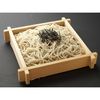 干和香荞麦面 200g