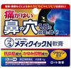 [指定第2类医药品] 曼秀雷敦 Medic Quick N 软膏 6g