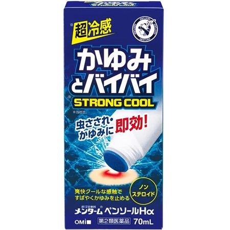 【数量限定価格】【第2類医薬品】メンタームペンソールＨα &lt;70ml&gt;  70ml