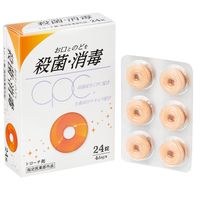 토픽 트로키 S 24정