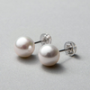 Akoya Pearl Stud Earrings
8.0-8.5mm K14WG/K18YG K14WG (53-4472)