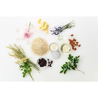 STEAMCREAM(스팀크림) 미피의 생일 75g