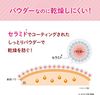 Sana Pore Putty 大师彩色散粉