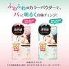 Sana Pore Putty 大师彩色散粉