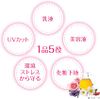 Fortune sebum displacement prevention foundation (pore cover)