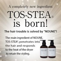 NOUNE Straight Shampoo 400ml