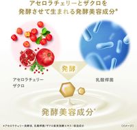 Unilever Japan Dove Body Wash Fermented Beauty Series Radiance & Clarity Refill 340 g