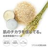 Steam Cream (Steam Cream) Adelia Modern Round 75g