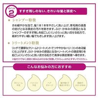 Kaminomoto Ladies Hair Treatment