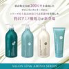 Salon Link Amino Treatment