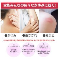 [Class 3 OTC Drug] Muhi S 20g