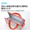 Skater 保温袋，大号，无纺布材质，儿童适用，龙猫