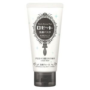 로제트 세안 파스타 빙하 머드 클렌즈 폼