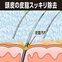 리필을위한 프로 테크 두피 스트레치 샴푸