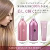 沙龍連結 極致洗髮精