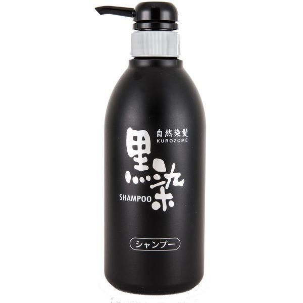 Black Hair Dye Shampoo