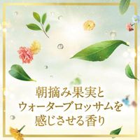 LUX 麗仕 超級豐盈亮澤 植萃光澤洗髮精 補充包