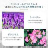 熊野油 Aminorum 洗髮精補充裝