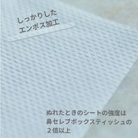 Nepia nose celebrity face wash only facial towel soft texture 120 pairs (240 sheets)