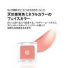 Ebara Road Kohgendo My Fany Gloss Film Foundation黄色紧凑型套装012