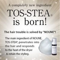 NOUNE Straight Styling Foam 150ml
