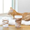 Aderia Coconeko Pair of Glasses Parent and Child Set Tiger Cat 230ml/300ml Gift Box 1 Set Ishizuka Glass