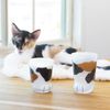 Aderia Coconeko Glass Cup Parent Calico Cat 300ml Gift Box 1 Piece Ishizuka Glass