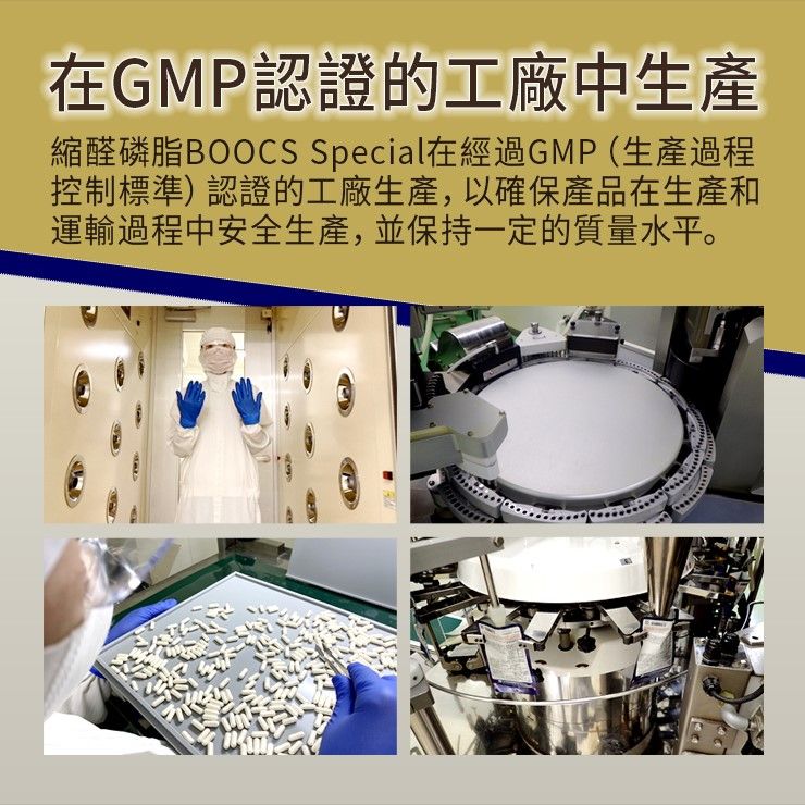 PLP 認知力維持膠囊 含缩醛磷脂 60粒