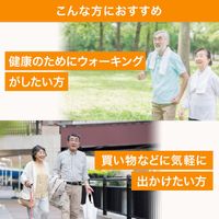 산토리 글루코사민 & 콘드로이틴 과립 퀘르세틴 플러스 폴리페놀 서플리먼트 영양제 60포입/약 30일분