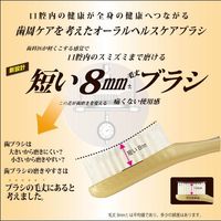 DU-BOA Oral Care Toothbrush, 4-Row, Medium-Soft, Regular Head