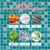 Junsohada Japanese Mint Cool Body Soap