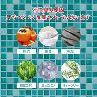 Junsohada Japanese Mint Cooling Body Wash