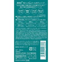 Junsohada Japanese Mint Cooling Body Wash