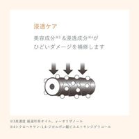 Ichikami THE PREMIUM 4X Shine Shake Hair Serum Oil