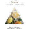 自然模式植物乳蜡&lt;ap样式&gt;