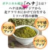 텐스타 컬러 트리트먼트
