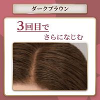 CIELO Root Touch-Up Color Treatment
