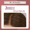 シエロ カラートリートメント 全体用