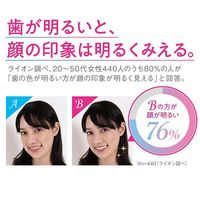 Lightee(라이티) 화이트닝 케어 화이트 시트러스 민트 100g 1개입