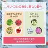 Haru Kurokami 頭皮薰衣草混合洗髮精 400ml