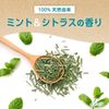 Naturals by Aquafresh 綠色柑橘