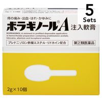 【5個セット】【指定第2類医薬品】ボラギノールA注入軟膏 2g×10