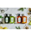 Rin Koi Rinren Remedial Treatment Mint & Lemon Pump 400ml Bee Bay