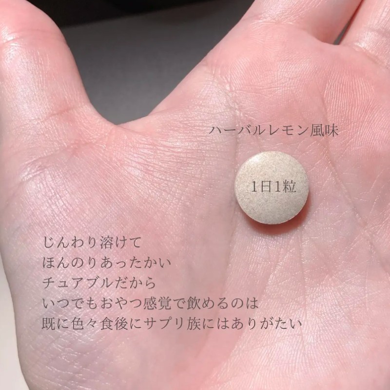 POLA ポーラ ヒート チェンジ タブレット お徳用 90粒 90日分 ｜ ドコデモ