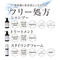 【コンプリートセット】NOUNE ストレート シャンプー 400ml & トリートメント 400ml & スタイリングフォーム150ml