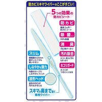 Earth Corporation Raku Hapi Air Conditioner Mold-Prevention Gap Wiper, Wet Type, Unscented