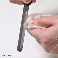 Green Bell Pet Curved Nail File, 2-Way, for Senior Cats & All Dog Breeds PE-003