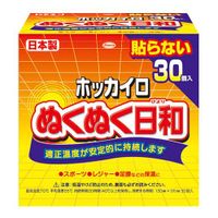 ホッカイロ ぬくぬく日和 貼らないタイプ レギュラー 30個入